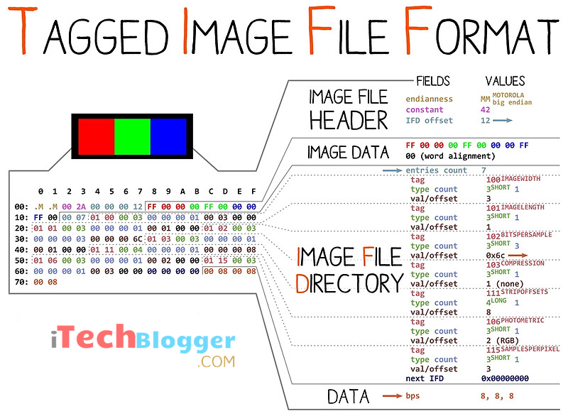 _images/tagged-image-file-format.jpg
